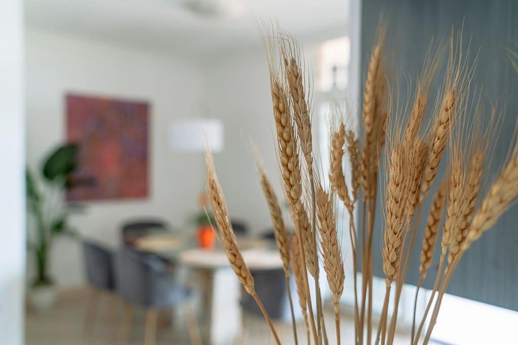 Residenza Dell Agrifoglio Apartamento